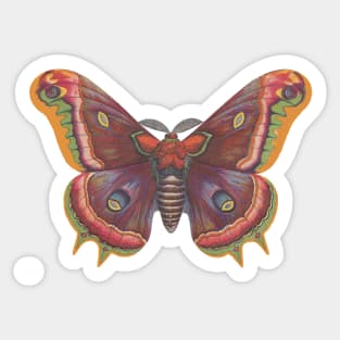 Plain Ole Luna Moth Sticker